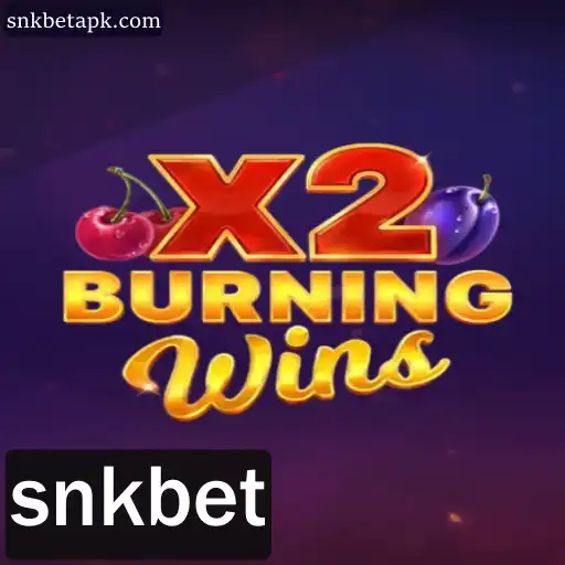 Explorando os Detalhes do Jogo BurningWinsX2 na Plataforma SNKBet