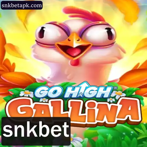 GoHighGallina: O Novo Fenômeno dos Jogos Online e a Conexão com snkbet